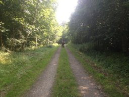 img_2225_web